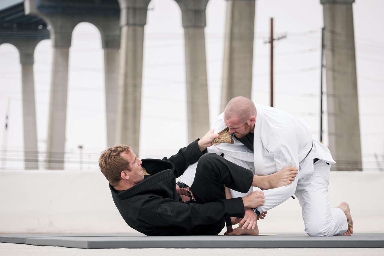 Other Sports to Consider If You Love Martial Arts